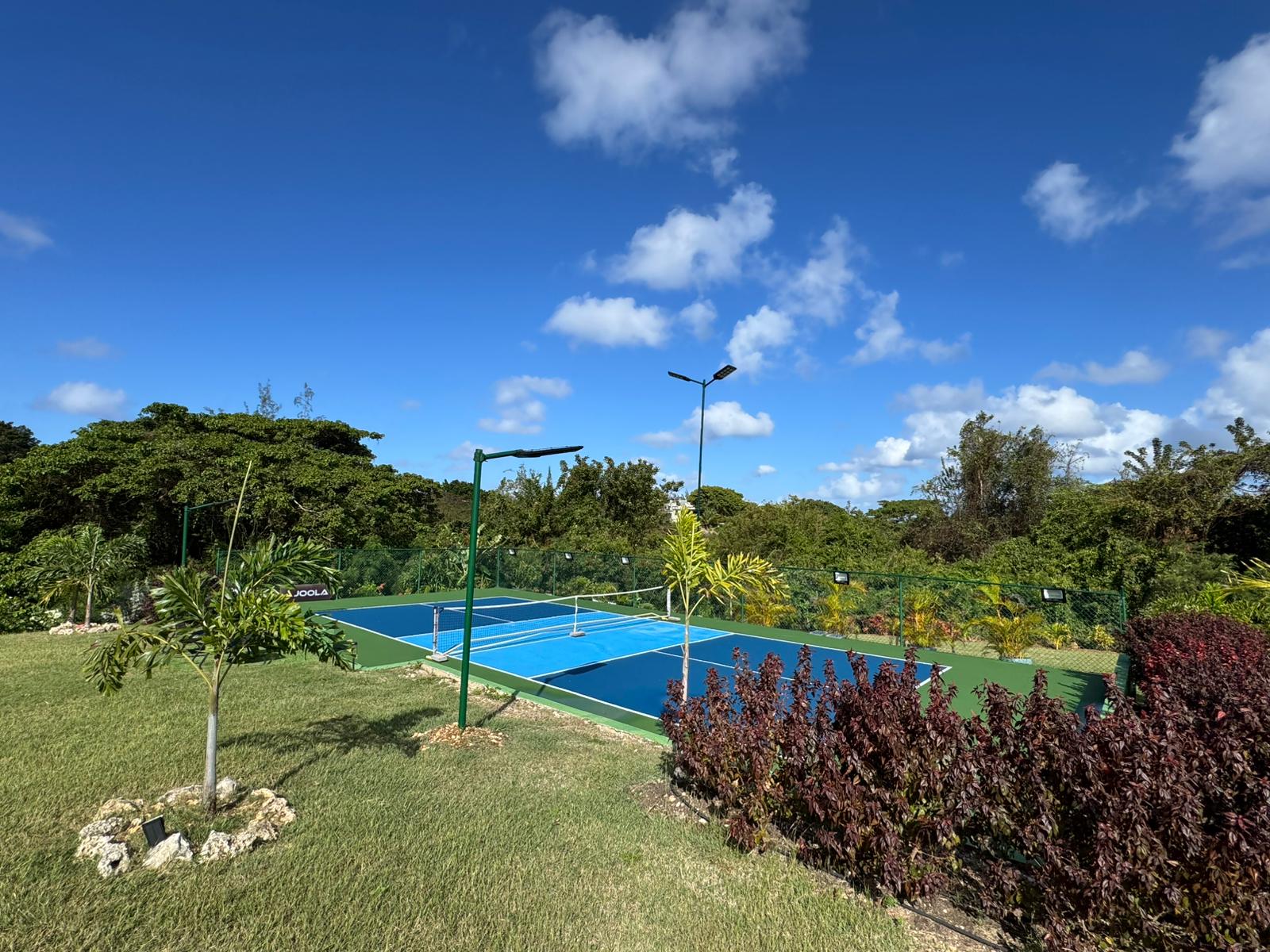 WhatsApp Image 2026-03-17 at 12.06.27 PM (1)