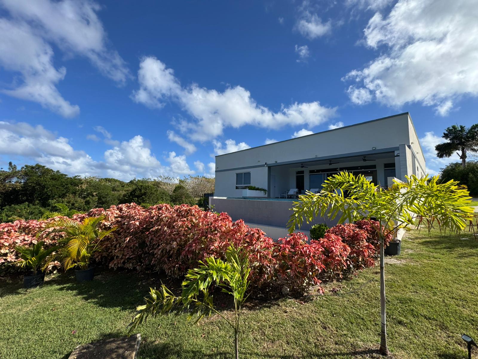 WhatsApp Image 2026-03-17 at 12.06.27 PM (2)