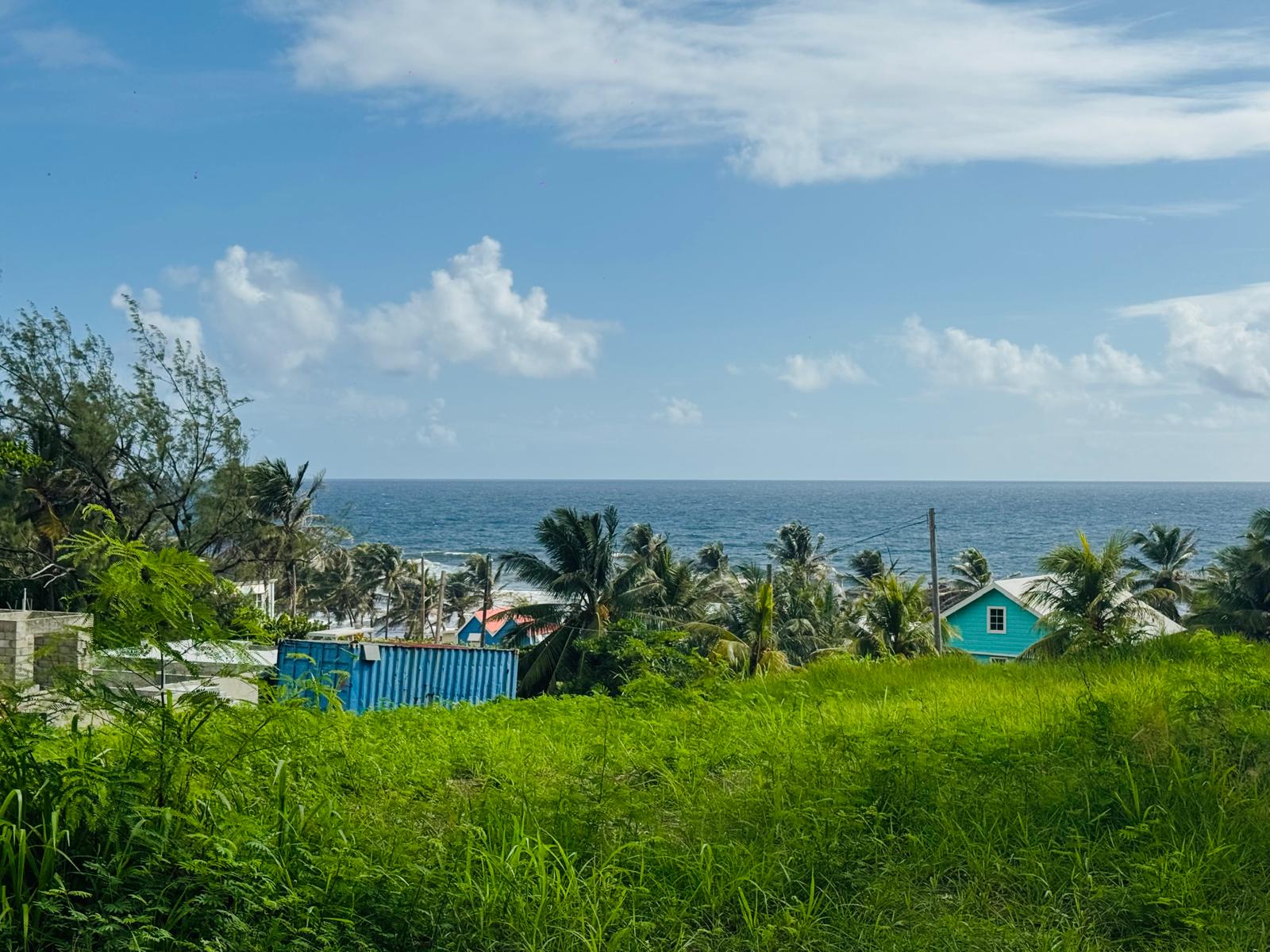 WhatsApp Image 2026-03-17 at 12.15.48 PM (2)