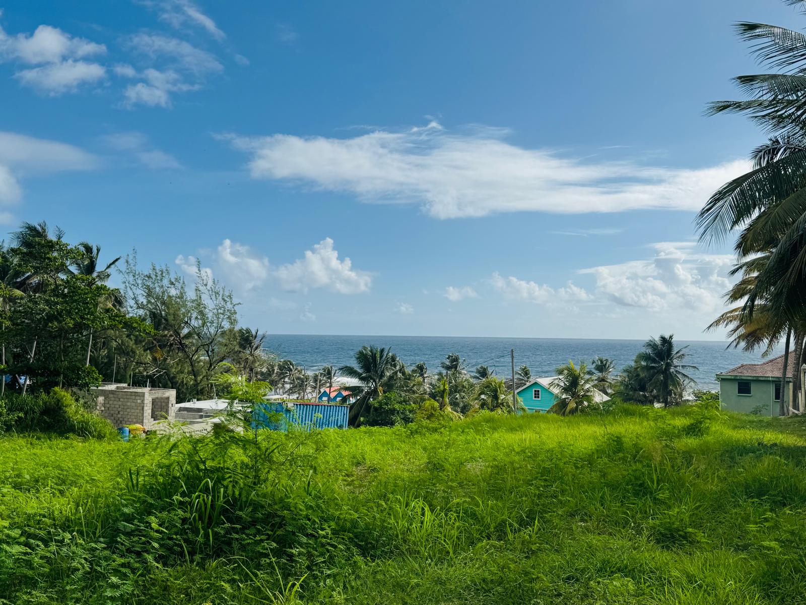 WhatsApp Image 2026-03-17 at 12.15.48 PM (3)