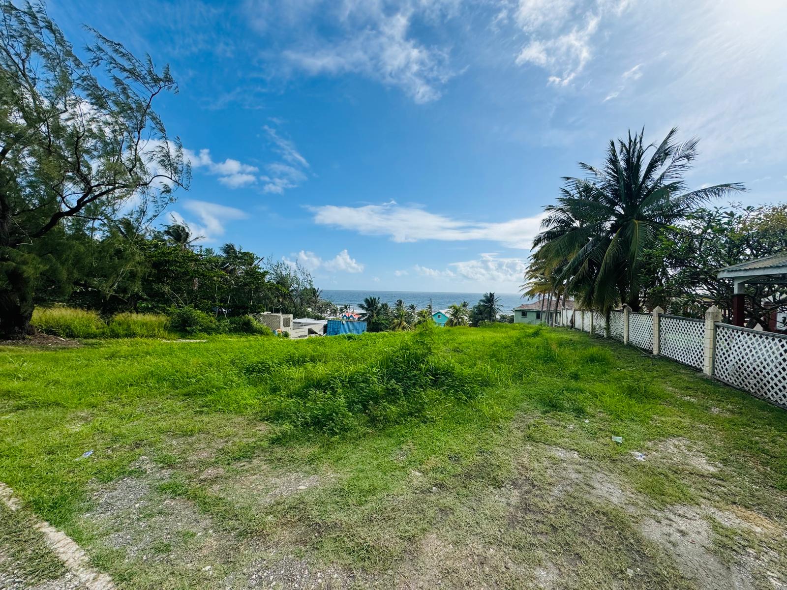 WhatsApp Image 2026-03-17 at 12.15.48 PM